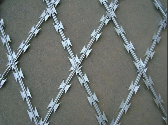 calidad  75mmx150mm Welded Razor Wire Mesh Rot Proof Function fábrica